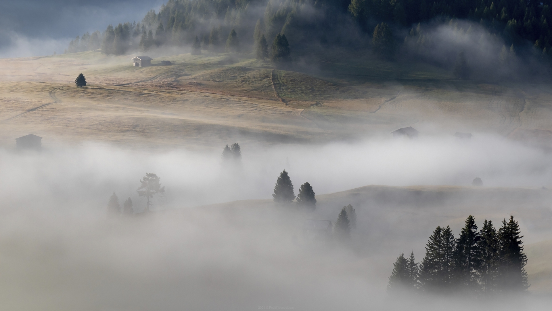 Ochtendmist op Alpenweide © Steven Warmoes
