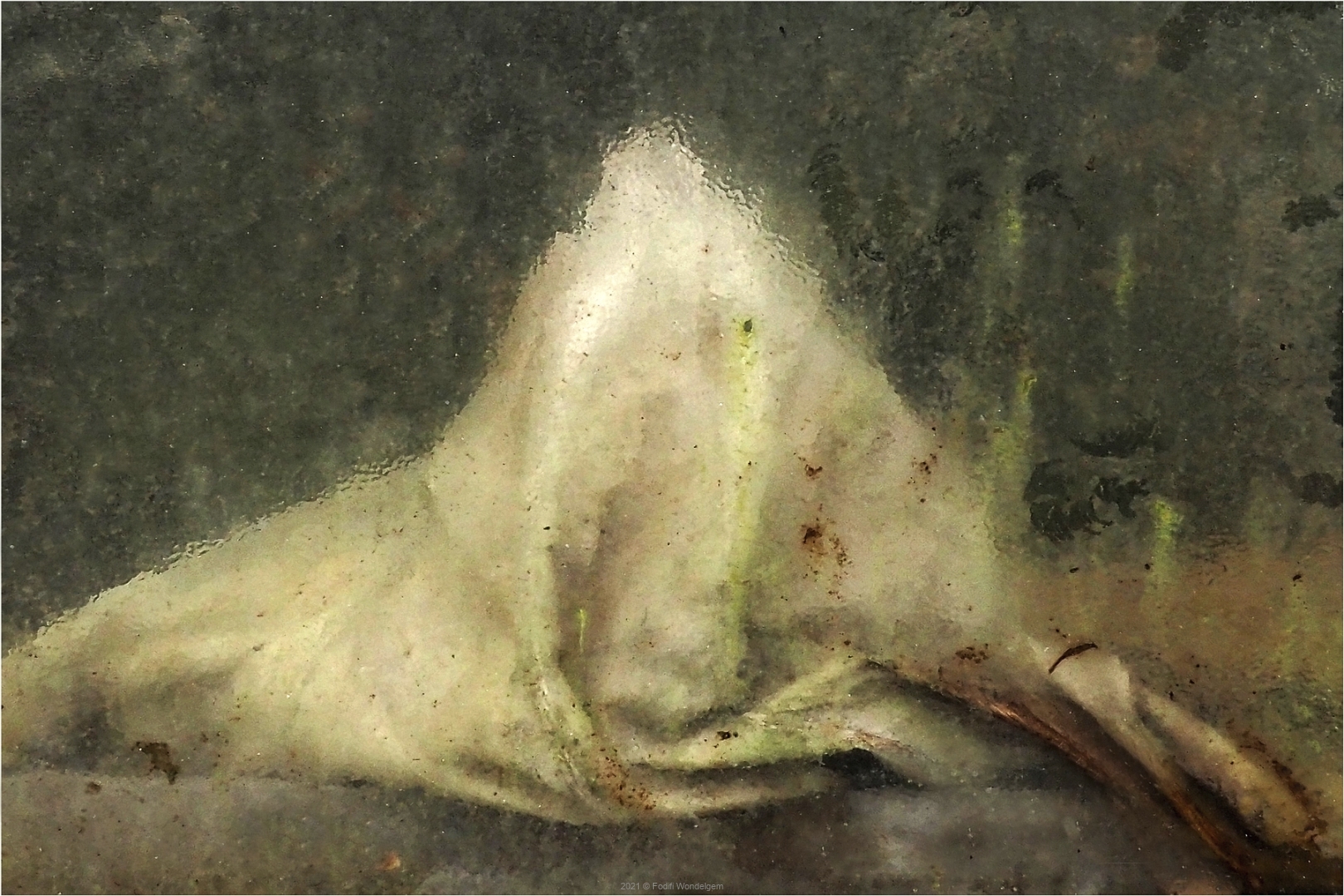 Spook © Martine Begerem
