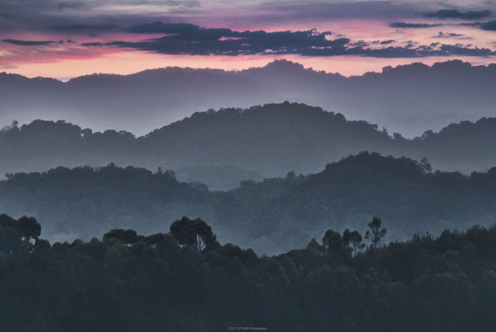Bwindi NP © Eric Colpaert