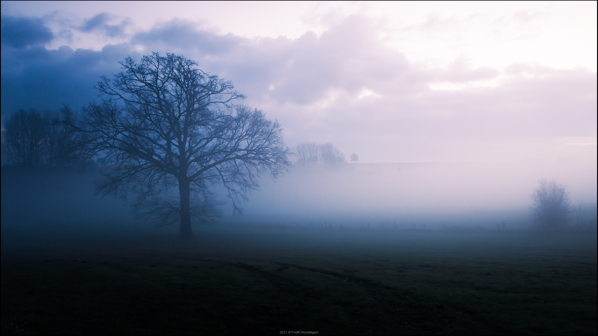 Steenbergse bossen © Jorn Brewaeys