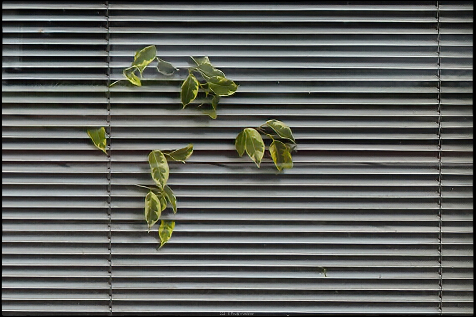 Reflectie © Stefanie Wille