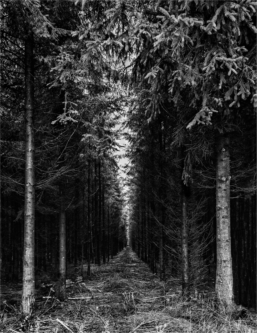 Zonder einde © Sonja Van Aerde